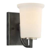Nuvo Lighting 1 Light Iron Black Frosted Glass Shade Vanity Light Fixture