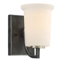 View 1 Light Iron Black Frosted Glass Shade Vanity Light Fixture