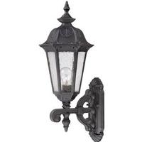 View 1 Light 9" Satin Iron Ore Seeded Mist Glass Shade Outdoor Wall Lantern Light Fixture