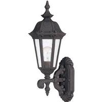 View 1 Light 7" Satin Iron Ore Seeded Mist Glass Shade Outdoor Wall Lantern Light Fixture
