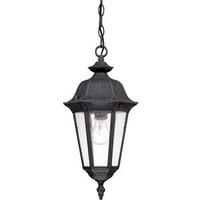 View 1 Light 9" Satin Iron Ore Seeded Mist Glass Shade Hanging Lantern Light Fixture