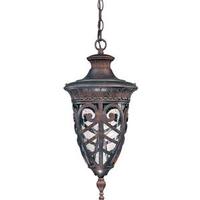 Nuvo Lighting 1 Light 10" Dark Plum Bronze Clear Seeded Glass Shade Hanging Lantern Light Fixture
