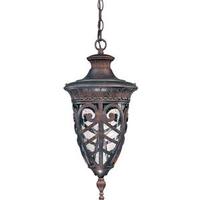 View 1 Light 10" Dark Plum Bronze Clear Seeded Glass Shade Hanging Lantern Light Fixture