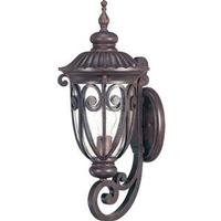 View 1 Light 9.5" Burlwood Clear Seeded Glass Shade Outdoor Wall Lantern Light Fixture