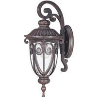 View 1 Light 9.5" Burlwood Clear Seeded Glass Shade Outdoor Wall Lantern Light Fixture