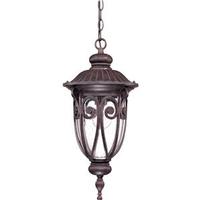 View 1 Light 9.5" Burlwood Clear Seeded Glass Shade Hanging Lantern Light Fixture