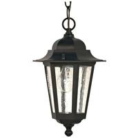 Nuvo Lighting 1 Light Textured Black Clear Seed Glass Shade Hanging Lantern