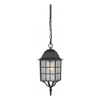 View 1 Light 16" Textured Black Frosted Glass Shade Hanging Lantern Light Fixture