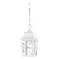 Nuvo Lighting 1 Light 11" White Clear Water Glass Shade Hanging Lantern Light Fixture
