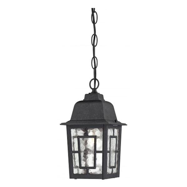 1 Light 11" Textured Black Clear Water Glass Shade Hanging Lantern Light Fixture