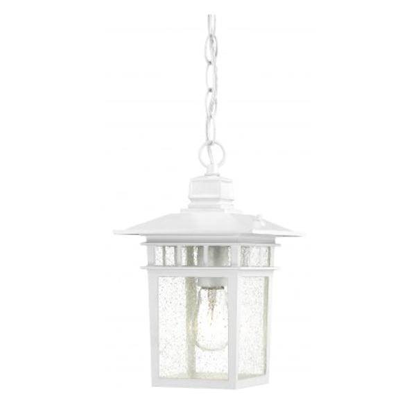 1 Light 12" White Clear Seeded Glass Shade Hanging Lantern Light Fixture