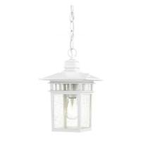 Nuvo Lighting 1 Light 12" White Clear Seeded Glass Shade Hanging Lantern Light Fixture