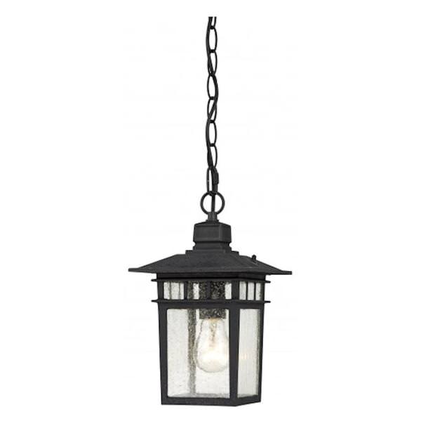 1 Light 12" Textured Black Clear Seeded Glass Shade Hanging Lantern Light Fixture