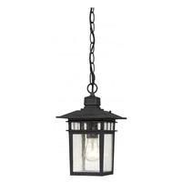 Nuvo Lighting 1 Light 12" Textured Black Clear Seeded Glass Shade Hanging Lantern Light Fixture