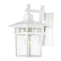 View 1 Light 9" White Clear Seeded Glass Shade Wall Light Fixture
