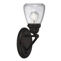 Nuvo Lighting 1 Light Sudbury Bronze Clear Seeded Glass Shade Vanity Light Fixture