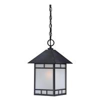 Nuvo Lighting 1 Light 16" Stone Black Frosted Seed Glass Shade Hanging Lantern Light Fixture