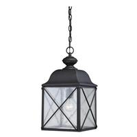 View 1 Light 19" Textured Black Clear Seed Glass Shade Hanging Lantern Light Fixture