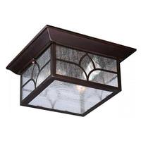 View 2 Light Claret Bronze Clear Seed Glass Shade Flush Mount Ceiling Light Fixture