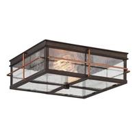 View 2 Light Bronze Clear Seeded Glass Shade Dimmable Flush Mount Ceiling Light Fixture
