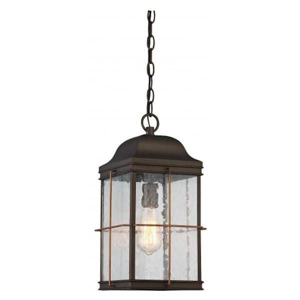 1 Light 9" Bronze Clear Seeded Glass Shade Hanging Lantern Light Fixture