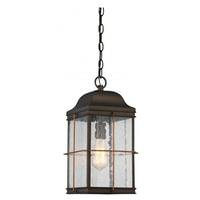 View 1 Light 9" Bronze Clear Seeded Glass Shade Hanging Lantern Light Fixture