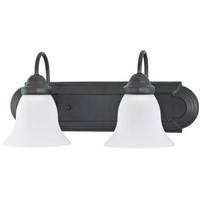 Nuvo Lighting 2 Light 18" Mahogany Bronze Vanity Light Fixture