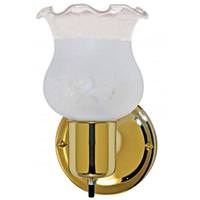 Nuvo Lighting 1 Light Polished Brass Frosted Grape Glass Shade Vanity with On/Off Switch