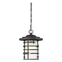 Nuvo Lighting 1 Light 11" Textured Black Etched Glass Shade Hanging Lantern Light Fixture