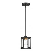 Nuvo Lighting 1 Light Black Clear Beveled Glass Shade Mini Pendant Light Fixture