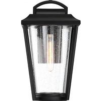 Nuvo Lighting 1 Light Aged Bronze Clear Seed Glass Shade Wall Lantern Fixture
