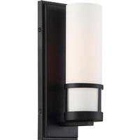 Nuvo Lighting 1 Light Aged Bronze Finish Etched Opal Glass Shade Vanity Light Fixture