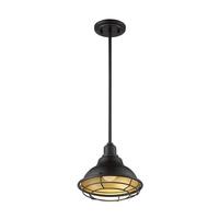 Nuvo Lighting 1 Light 120 volt Dark Bronze with Gold Accents Pendant Light Fixture