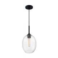 Nuvo Lighting 1 Light 120 volt Matte Black Pendant Light Fixture