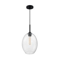 Nuvo Lighting 1 Light 120 volt Matte Black Pendant Light Fixture