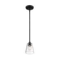 Nuvo Lighting 1 Light 120 volt Matte Black Indoor Mini Pendant Light Fixture