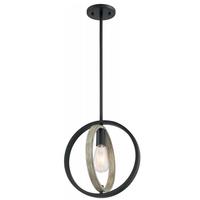 Nuvo Lighting 1 Light 120 volt Black Indoor Mini Pendant Light Fixture
