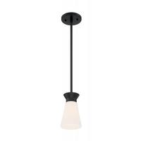 Nuvo Lighting 1 Light 120 volt Black Indoor Mini Pendant Light Fixture