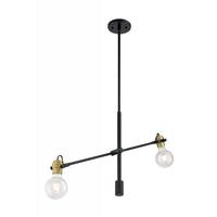 Nuvo Lighting 2 Light 120 volt Black with Brass Accents Pendant Light Fixture