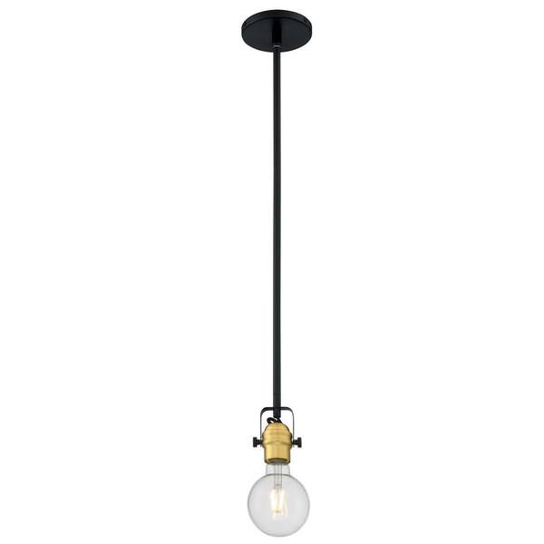 1 Light 120 volt Black Indoor Mini Pendant Light Fixture