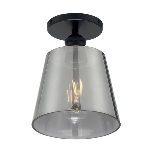 1 Light 120 volt Black Ceiling Light