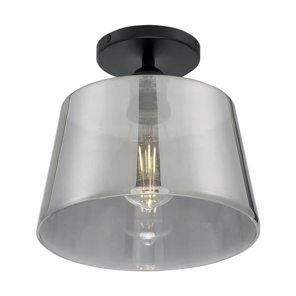 1 Light 120 volt Black Ceiling Light