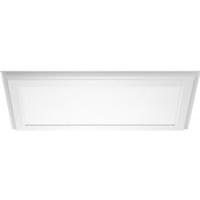 Nuvo Lighting 1' x 2' 22 watt 100/277 volt 4000K Cool White Dimmable LED Ceiling Light