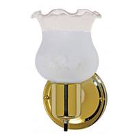 Nuvo Lighting 1 Light Polished Brass Frosted Grape Glass Shade Wall Mounted Vanity Light Fixture with On/Off Switch