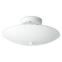 Nuvo Lighting 2 Light White Round Glass Shade Ceiling Light Fixture