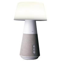 Ottlite Entertain LED Speaker Light