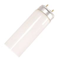 Panasonic 40 watt 48" T10 Bi-Pin Base 4100K