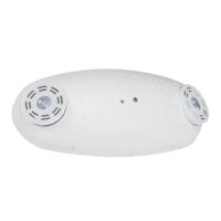 Philips 2 Lamp White Remote capability 5000K Daylight Nickel Metal Hydride battery Chloride Compac Emergency Unit