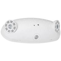 Philips 3 Lamp White Remote capability 5000K Daylight Nickel Metal Hydride battery Chloride Compac Emergency Unit