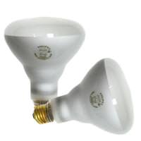 Philips 65 watt 120 volt BR30 Medium Screw Base Long Life Frosted Flood (2 Pack)